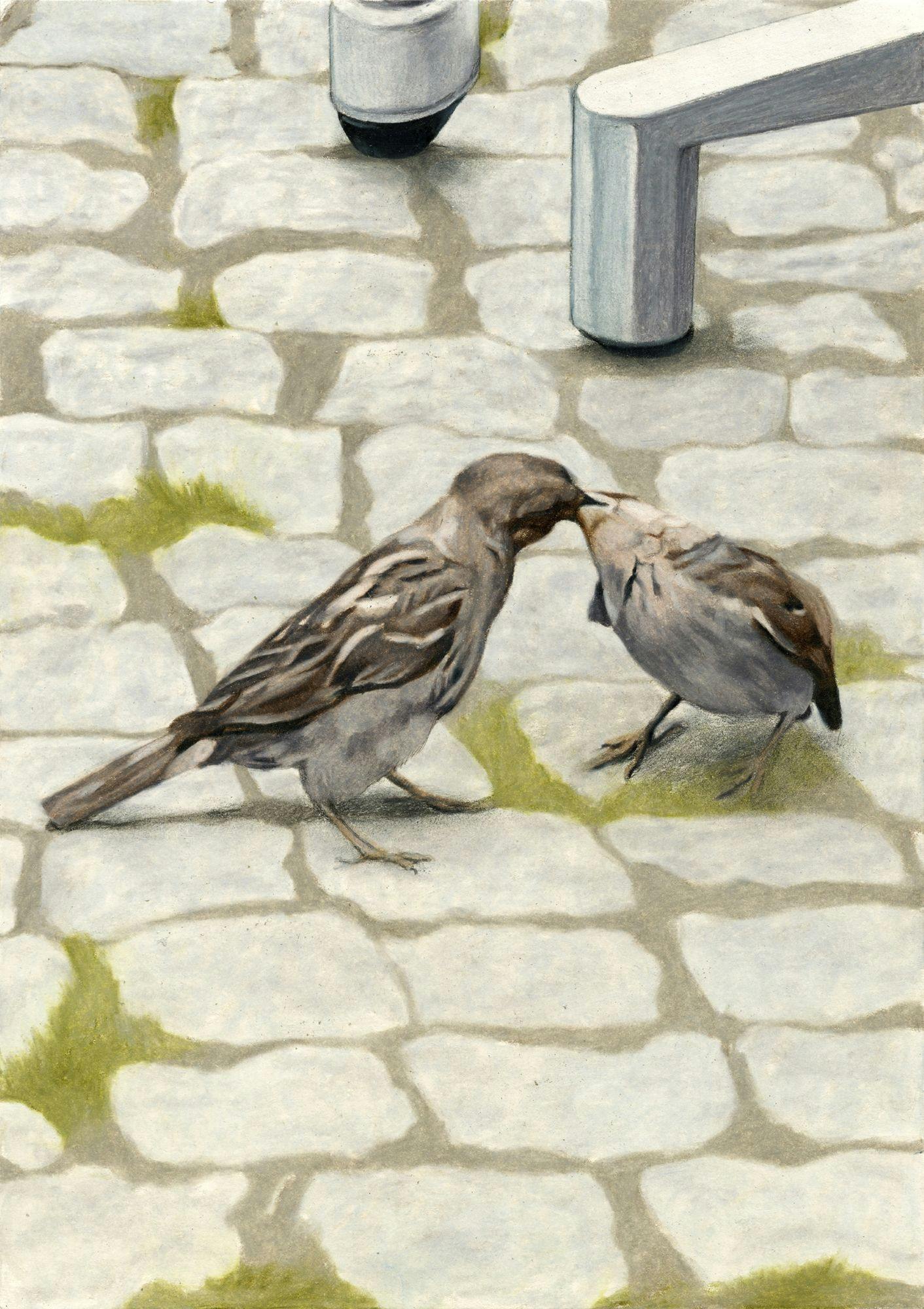 <Kiss of Sparrows> 종이에 연필, 색연필 21×14.8cm 2023